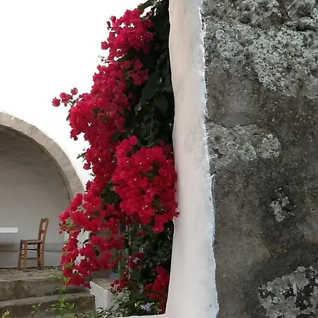 Santa Anna *